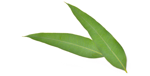 About Us 8 About Us 8