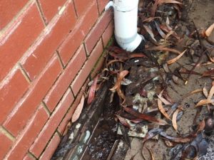 Ongoing Maintenance in the South West 4